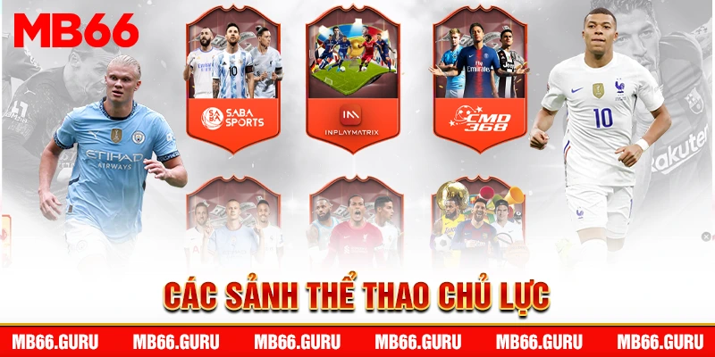 Các sảnh thể thao chủ lực